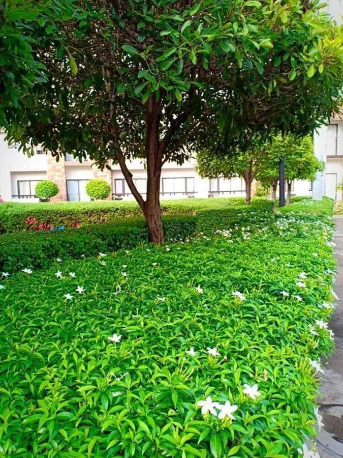One Oasis Davao A4 Free Pool 3 Min Walk Sm Mall المظهر الخارجي الصورة